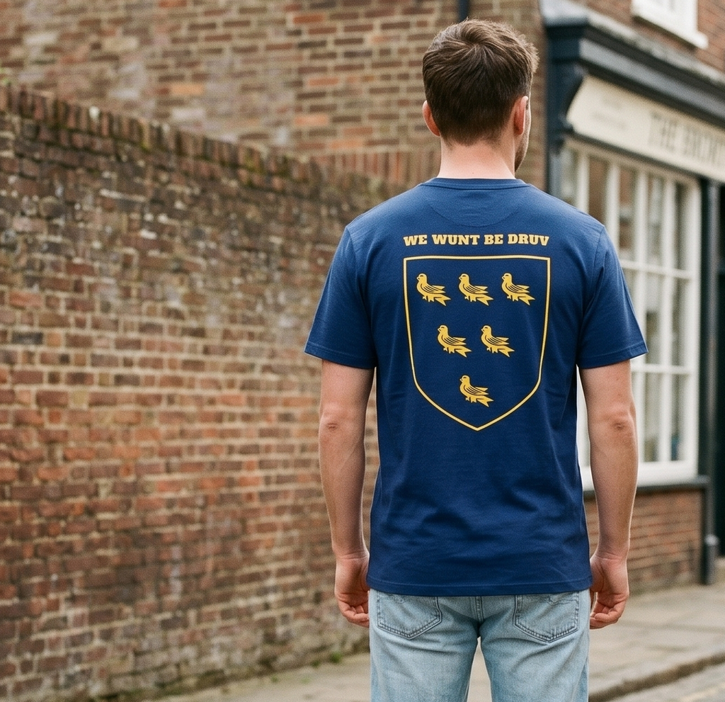 Man wearing a blue t-shirt with a crest design on a cobblestone street.