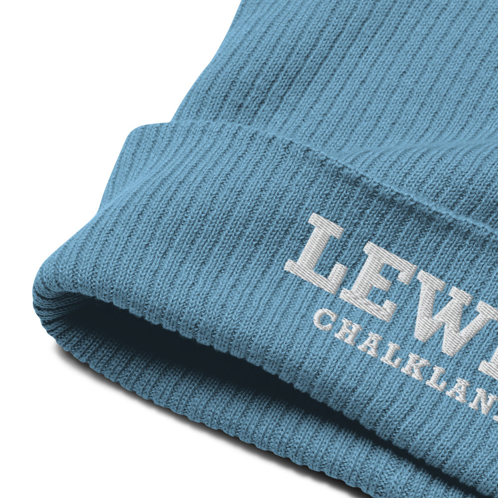 Lewes Organic Beanie