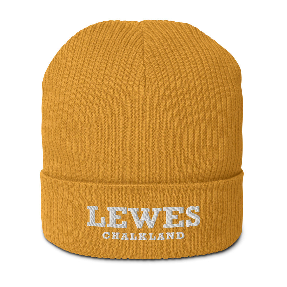 Lewes Organic Beanie